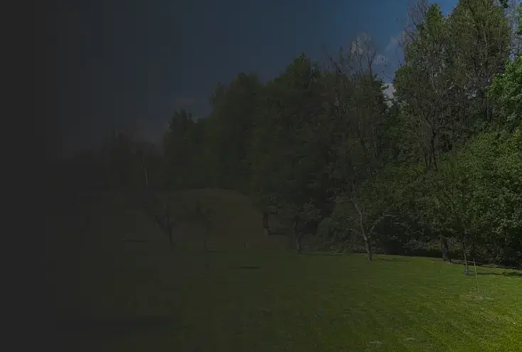 fading footer image showing meadow with forest on the side